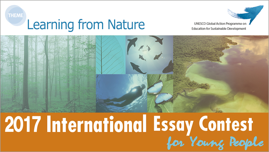 Essay contest