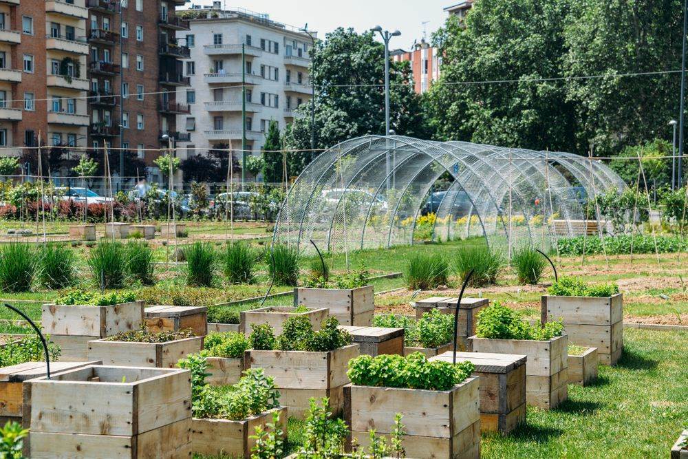 What Are The Benefits Of Urban Agriculture In Detroit