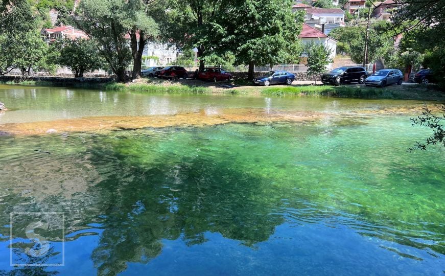 Rijeka Bregava: Čista kao suza, lijepa kao san - Udruženje mreža za ...