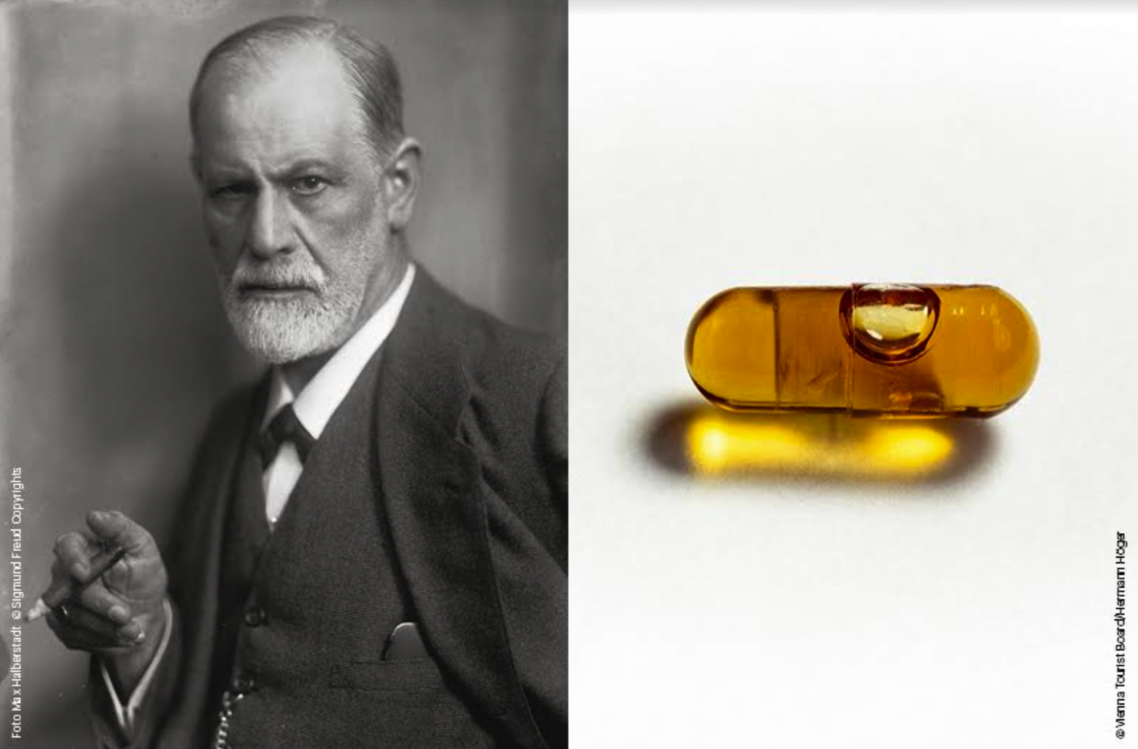 Nesvakidašnja kampanja Bečke turističke zajednice - Beč u mi