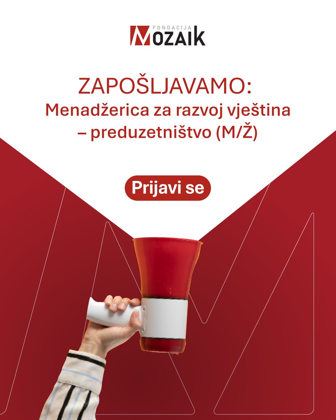 Fondacija Mozaik traži menadžericu ili menadžera za razvoj vještina – poduzetništvo
