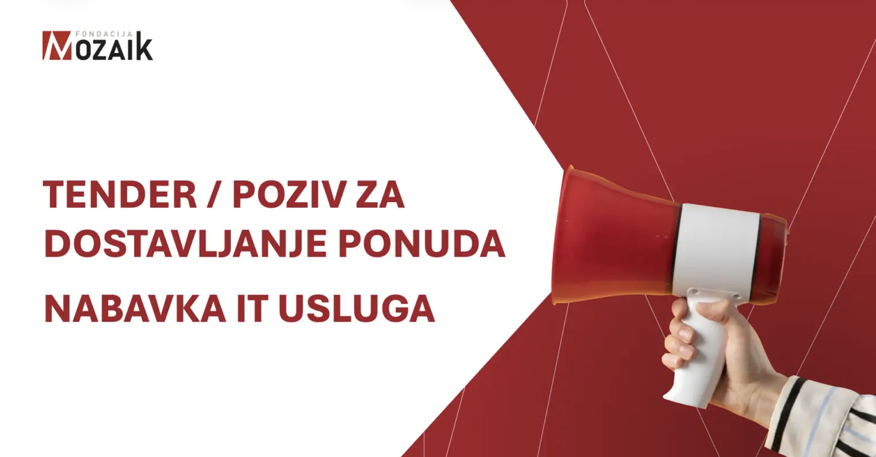 Fondacija Mozaik traži IT partnera za razvoj četiri digitalne platforme